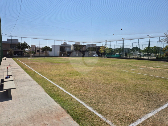 Foto REO1117864