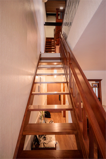 Foto REO1117870