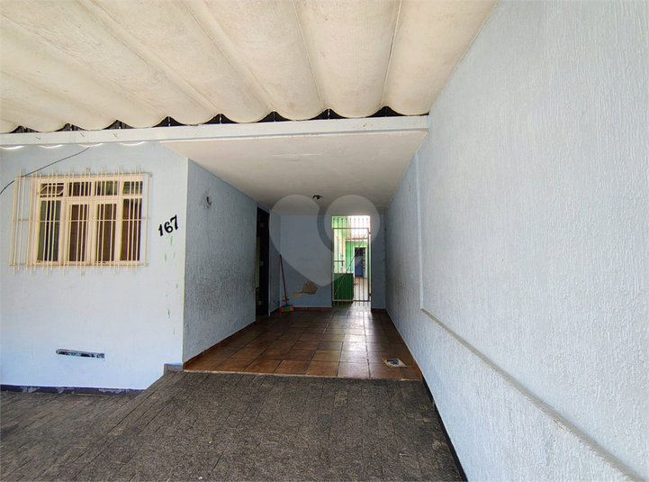 Foto REO1117875