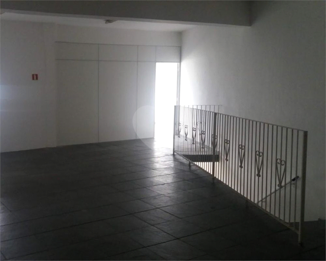 Foto REO1117881