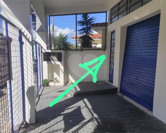 Foto REO1117881