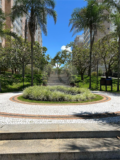 Foto REO1117885