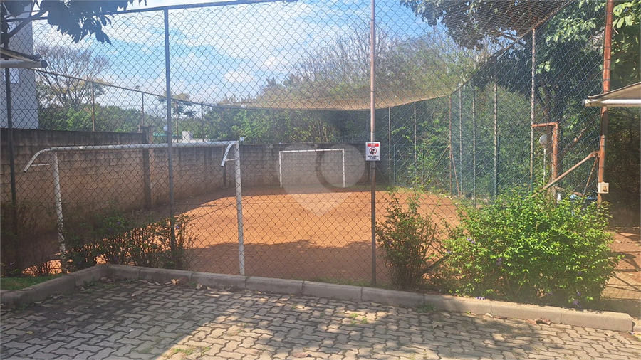 Foto REO1117887