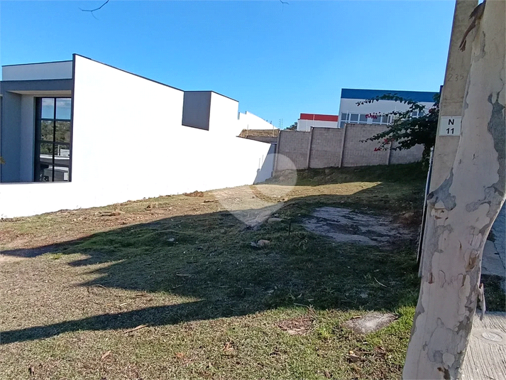 Foto REO1117891