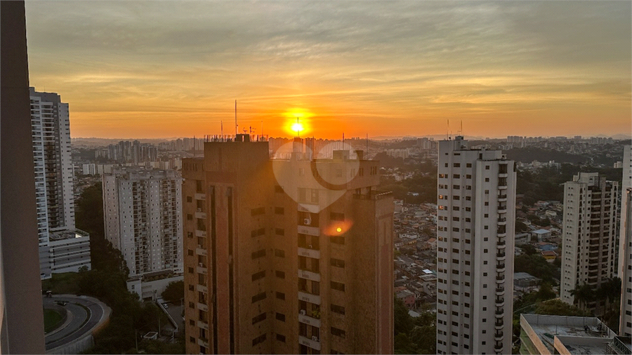 Foto REO1117898