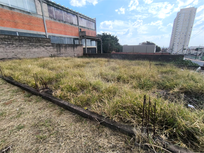 Foto REO1117911