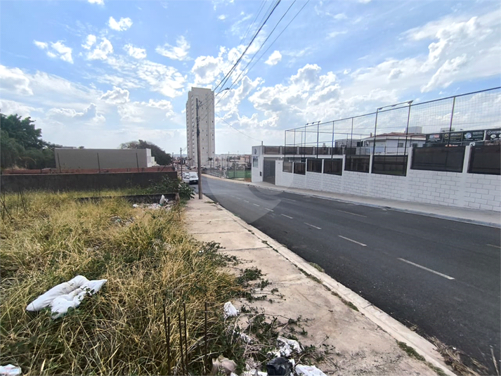 Foto REO1117911