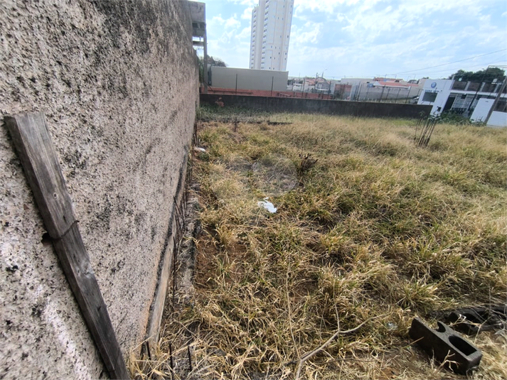Foto REO1117911
