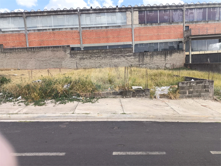 Foto REO1117911