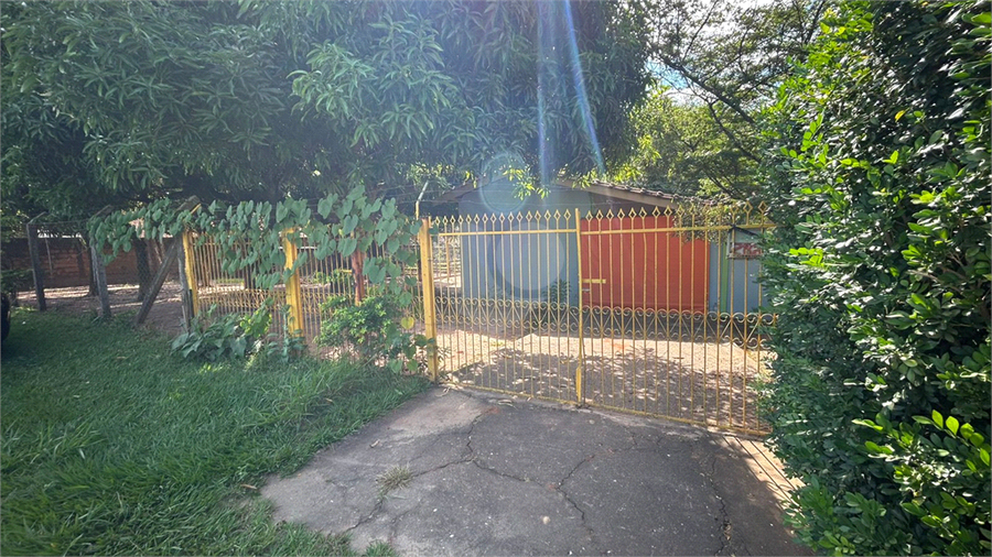 Foto REO1117914