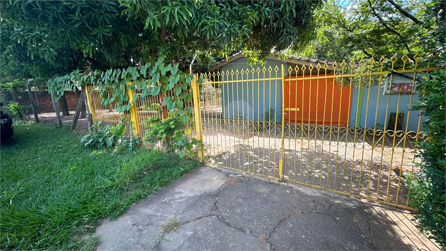 Foto REO1117914