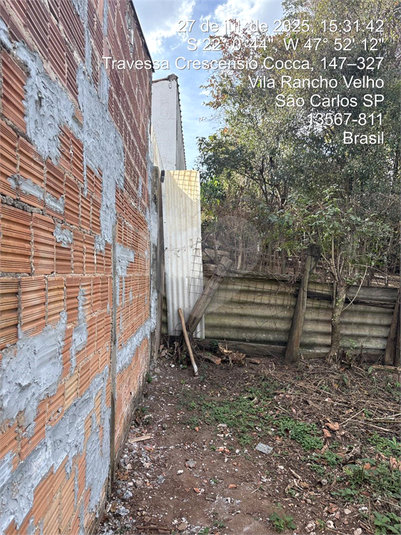 Foto REO1117915