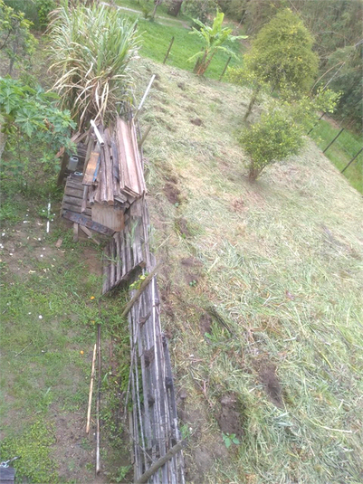 Foto REO1117922