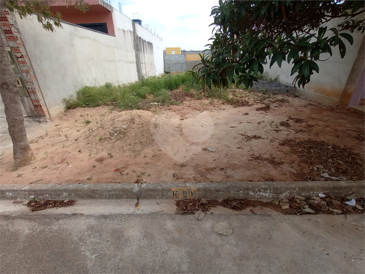 Foto REO1117930