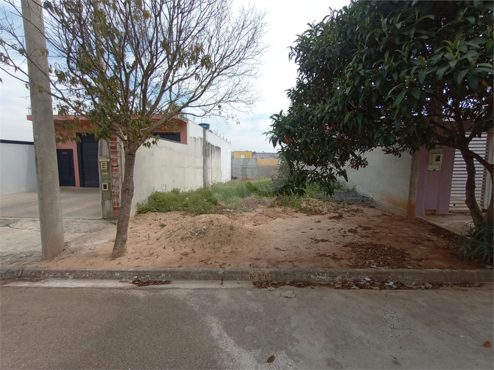 Foto REO1117930