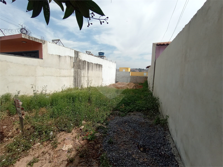 Foto REO1117930
