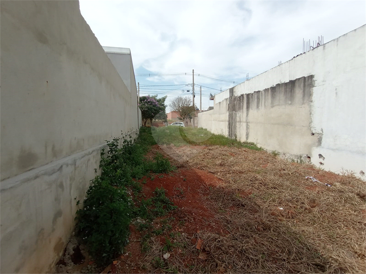 Foto REO1117930