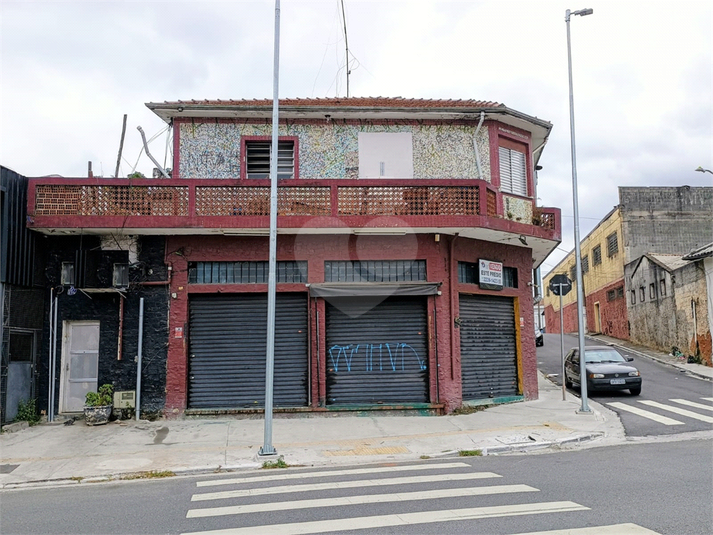 Foto REO1117934