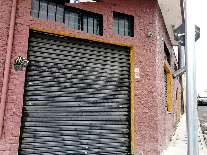 Foto REO1117934