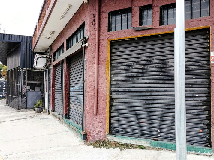 Foto REO1117934