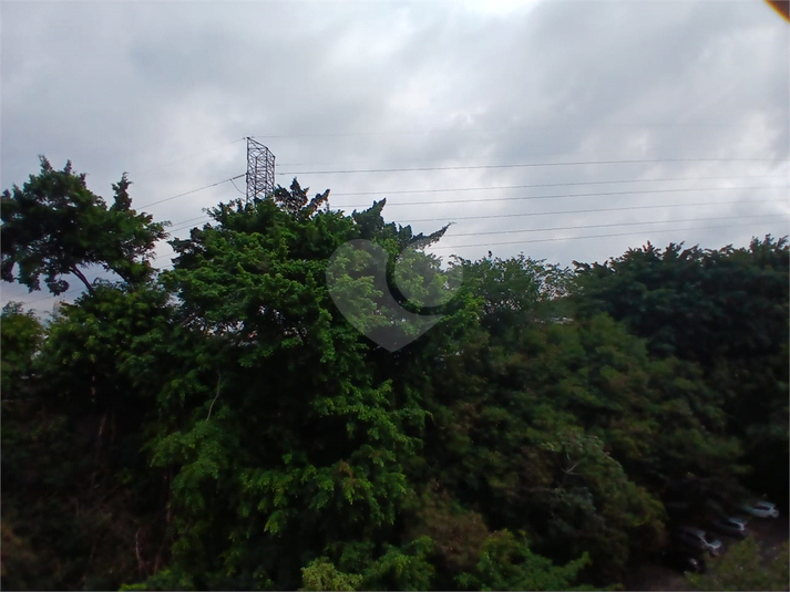 vista para o verde
