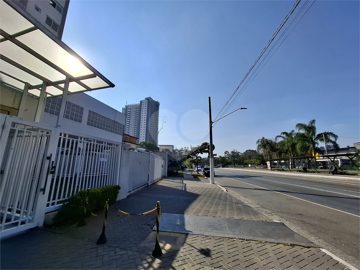 Foto REO1117938