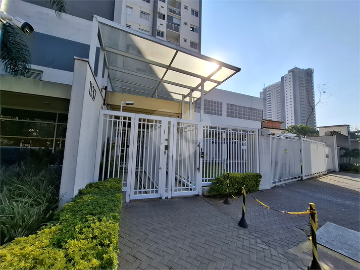Foto REO1117938