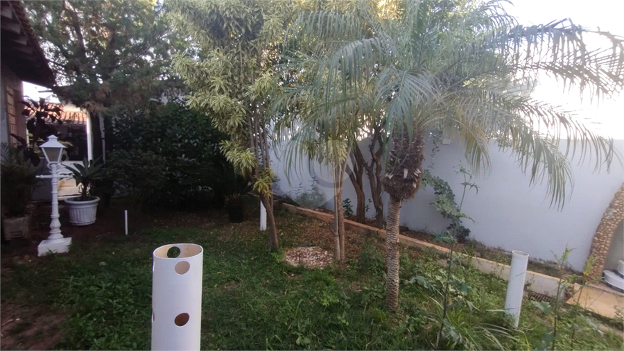 Foto REO1117939