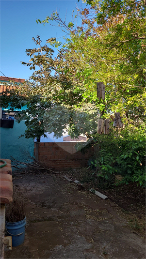 Foto REO1117945