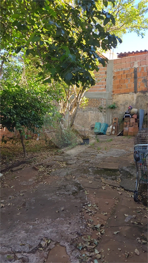 Foto REO1117945