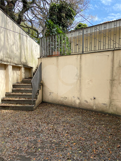 Foto REO1117955
