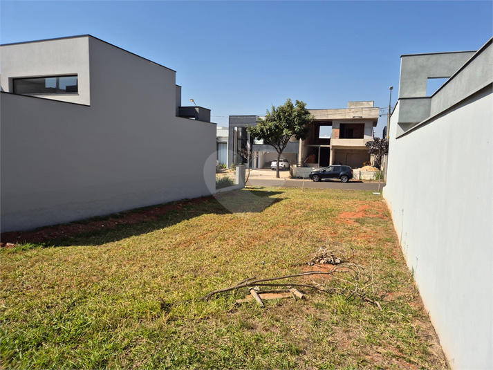 Foto REO1117960