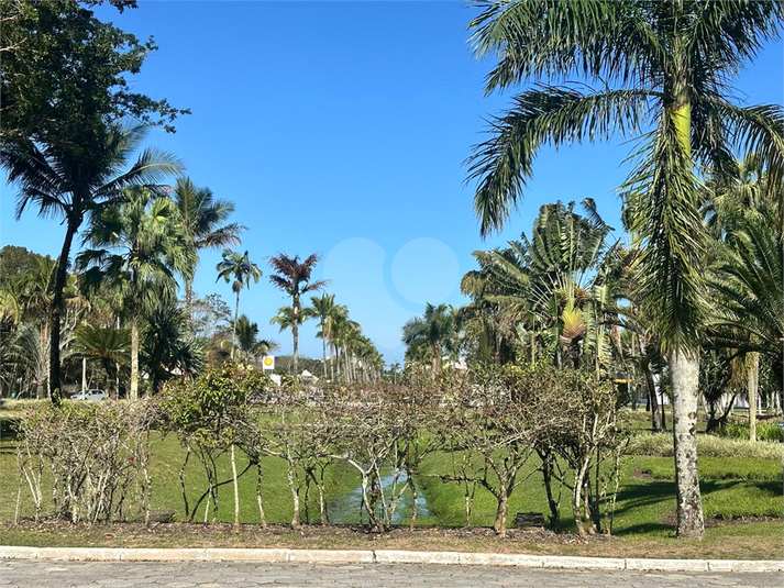 Foto REO1117966