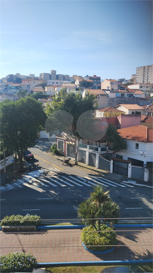Foto REO1117994