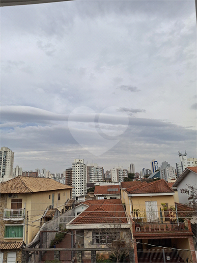 Foto REO1118004