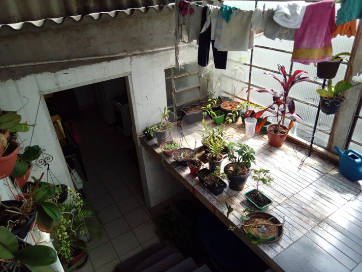 Foto REO1118015