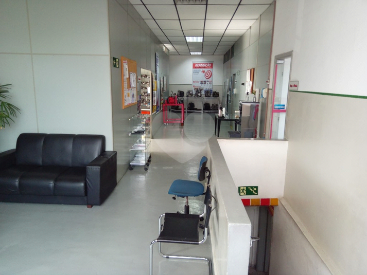 Foto REO1118015