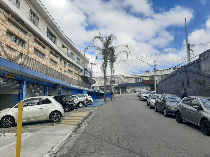 Foto REO1118044