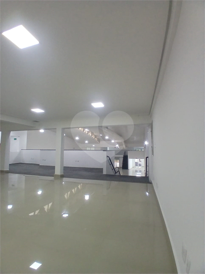 Foto REO1118055