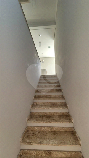 Foto REO1118067