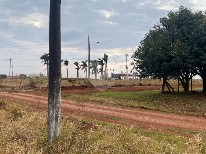 Foto REO1118068