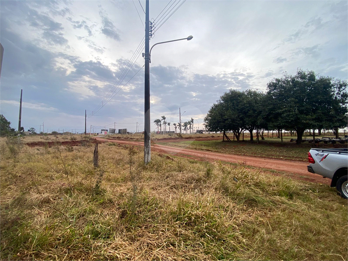 Foto REO1118068