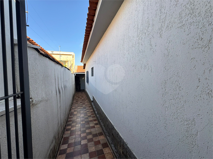 Foto REO1118072