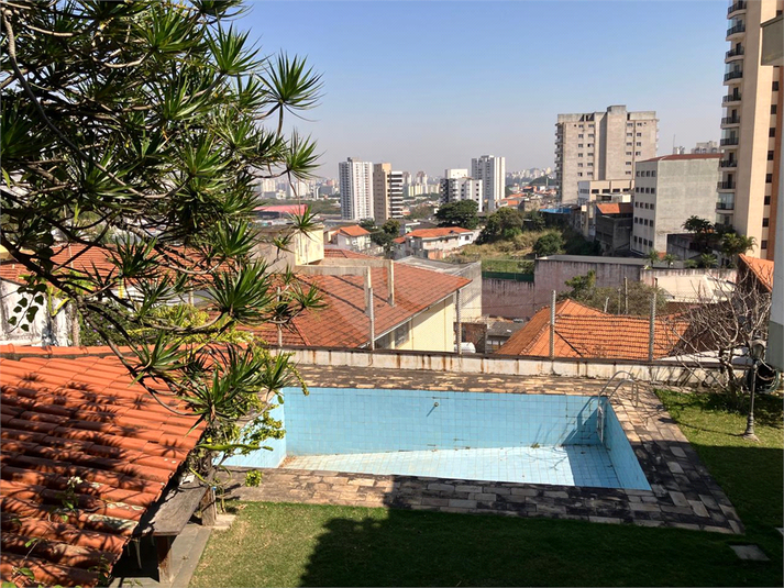 Foto REO1118078
