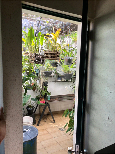 Foto REO1118078
