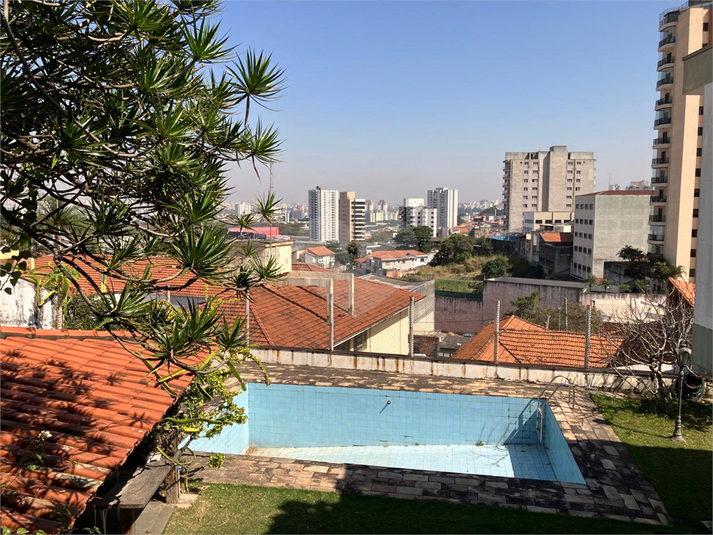 Foto REO1118078