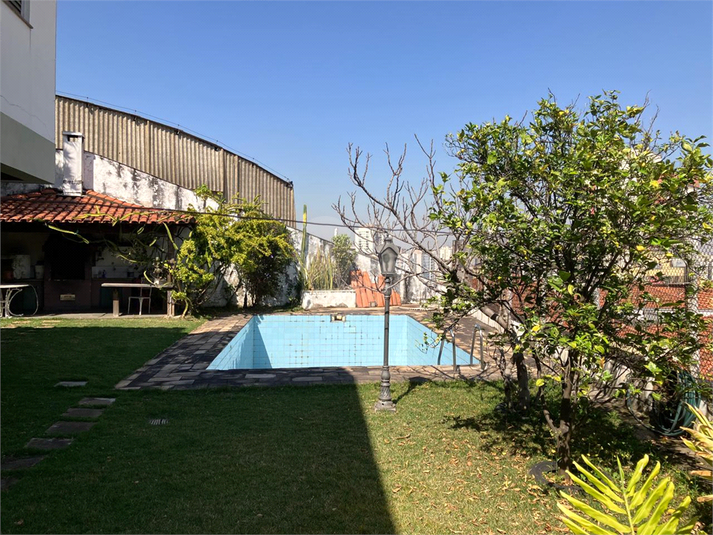 Foto REO1118078