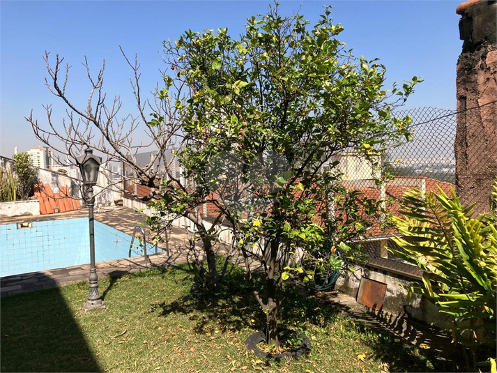 Foto REO1118078