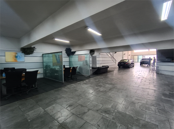 Foto REO1118087