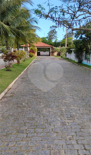 Foto REO1118089